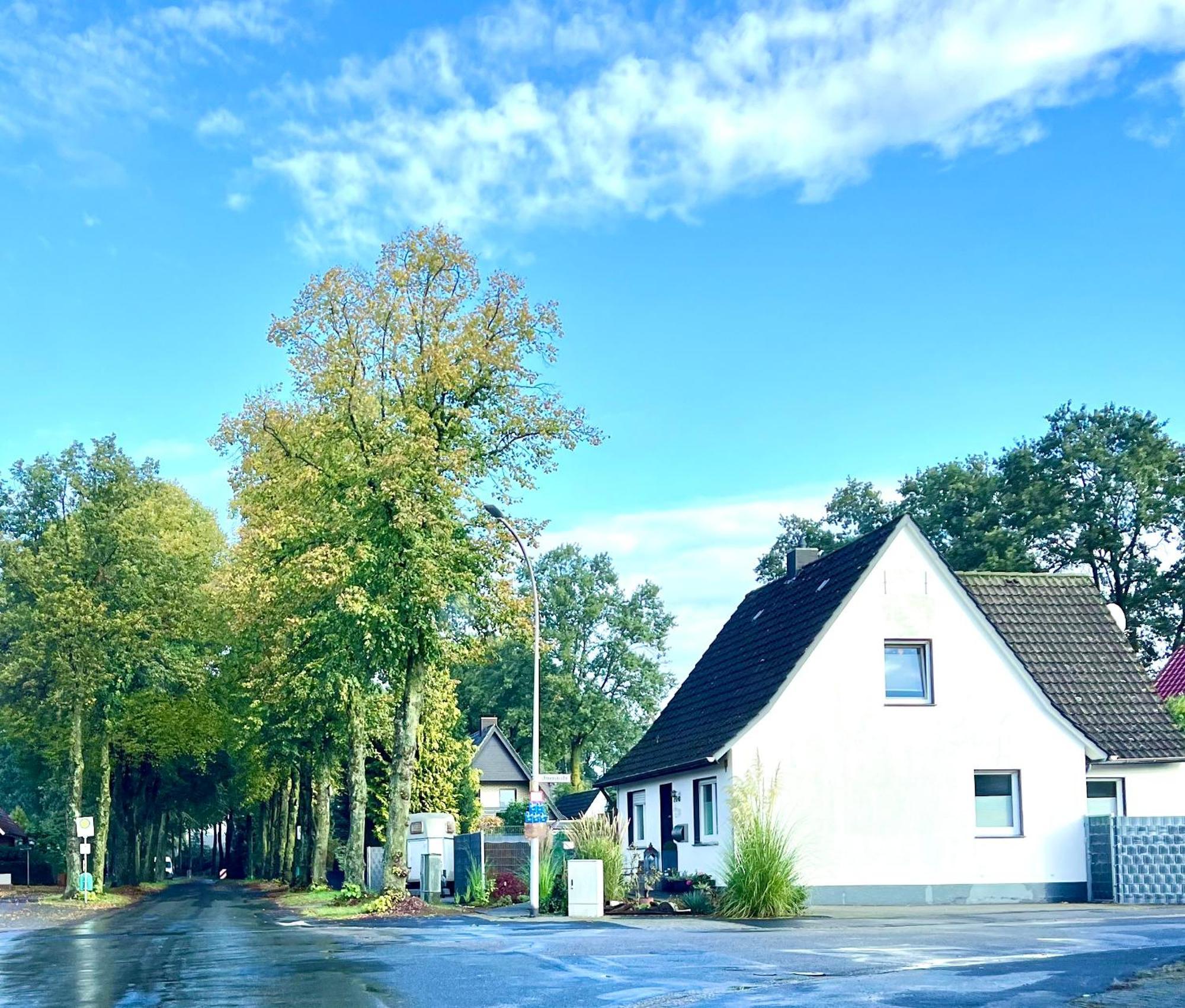Allee Zum See Schuttorf Bagian luar foto